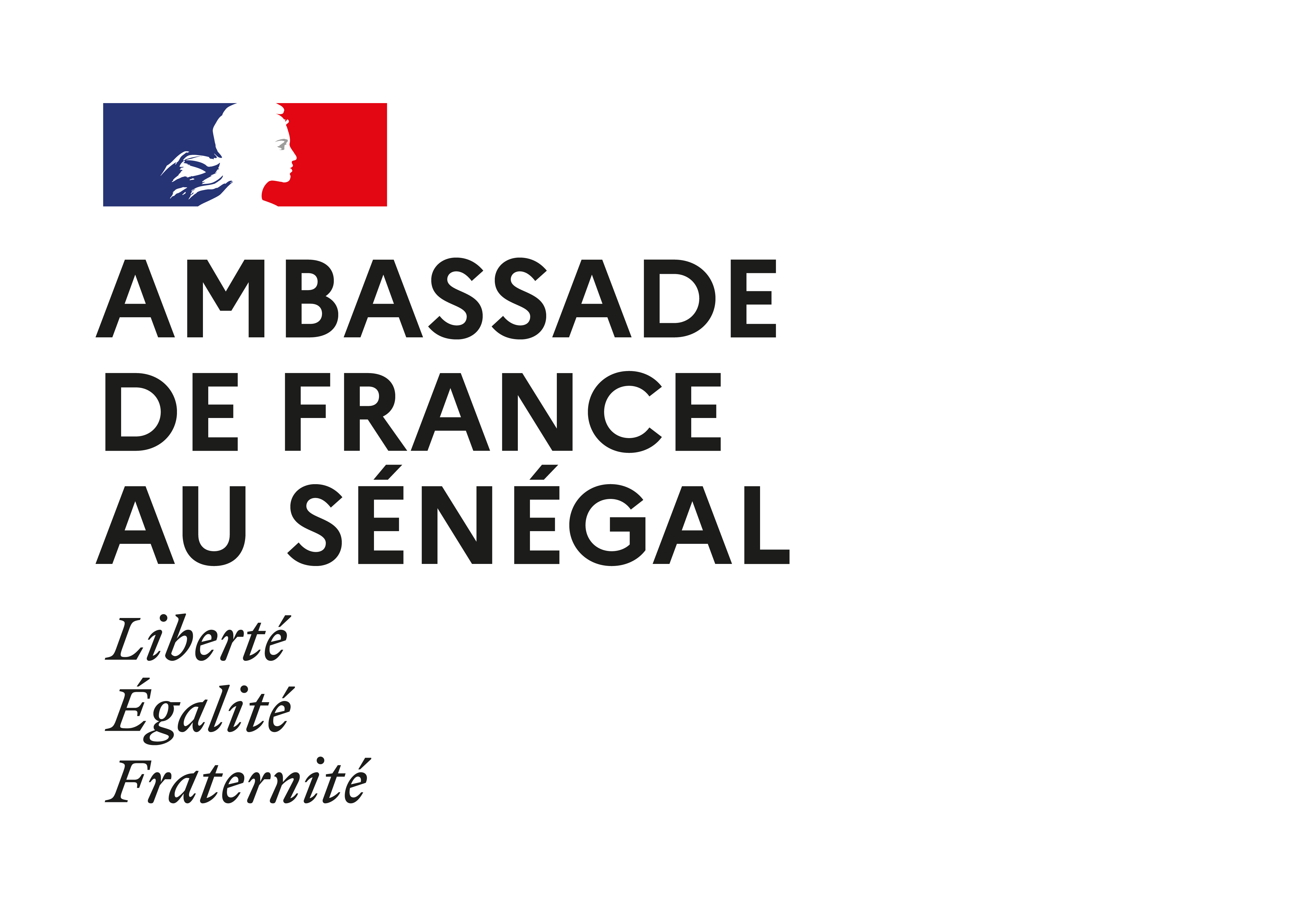 ambassade-de-france